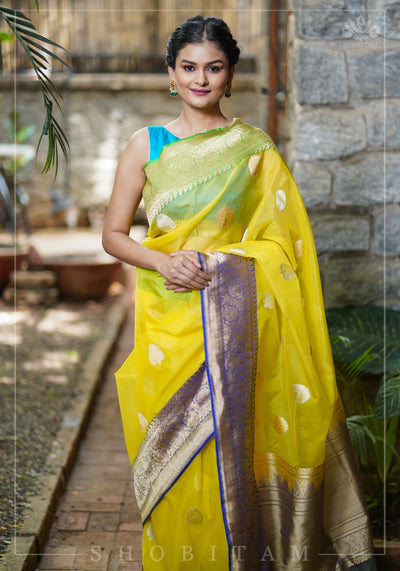 Kora Silk Saree - Buy Pure Banarasi Organza Silk Sarees Online in India –  fab-persona