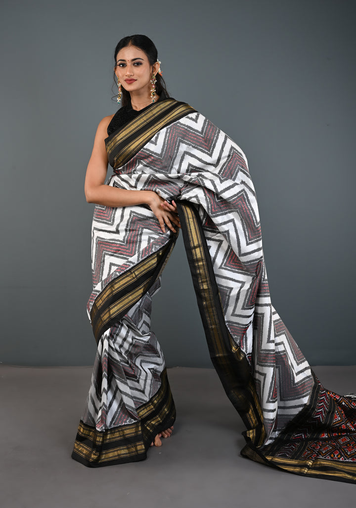 White-Gray Pochampally Ikkat Pure Silk Saree with Chevron Pattern and Rettaipet Border  | SILK MARK CERTIFIED