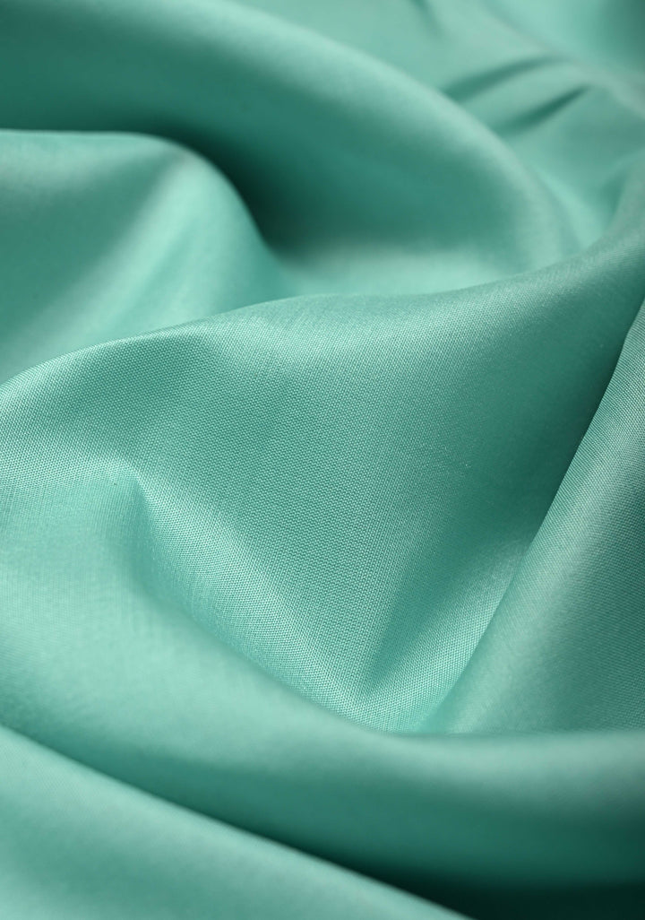 Aqua Blue Banarasi Katan Silk Saree and Paithani Silver Zari Border | SILK MARK CERTIFIED | Shobitam