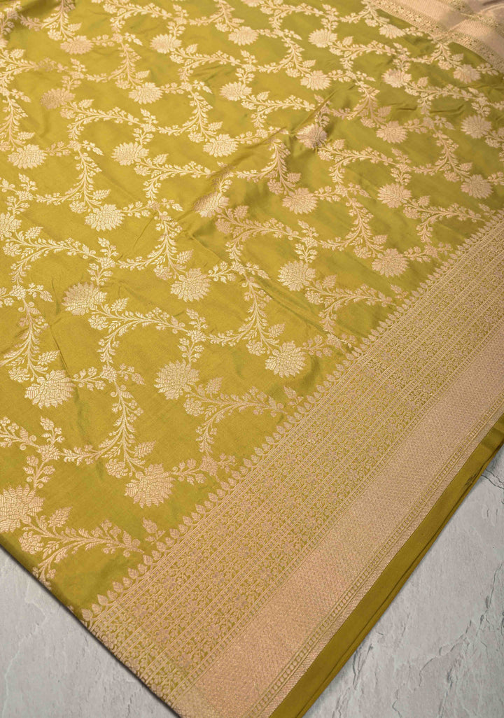 Olive Green jaal Banarasi Katan Silk Saree with Zari Border  | SILK MARK CERTIFIED