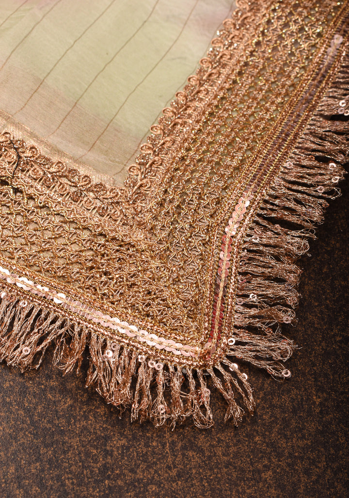 Beige Pure Organza Silk Saree with Floral Digital Print and Lace Trim Border | SILK MARK CERTIFIED