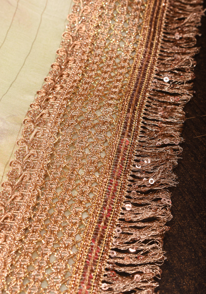 Beige Pure Organza Silk Saree with Floral Digital Print and Lace Trim Border | SILK MARK CERTIFIED
