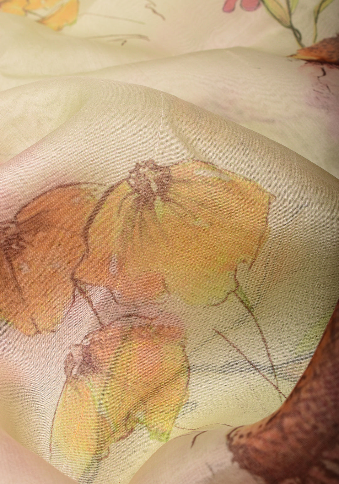 Beige Pure Organza Silk Saree with Floral Digital Print and Lace Trim Border | SILK MARK CERTIFIED
