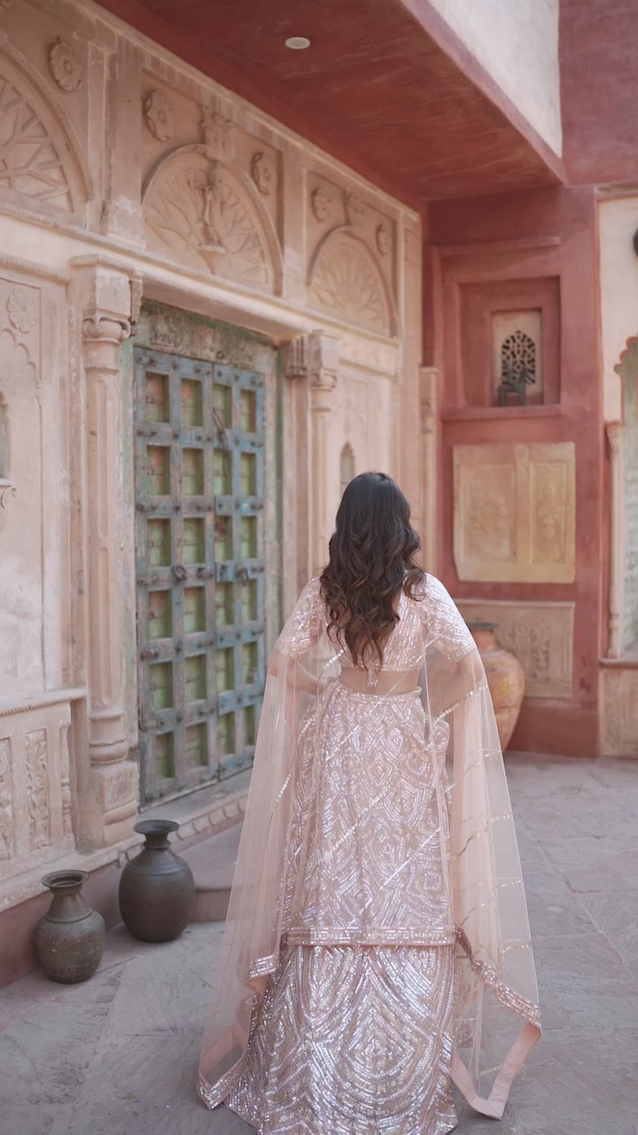 Exquisite Pastel Pink Lehenga with hand-embroidery in Net, Customizable, Made to Order